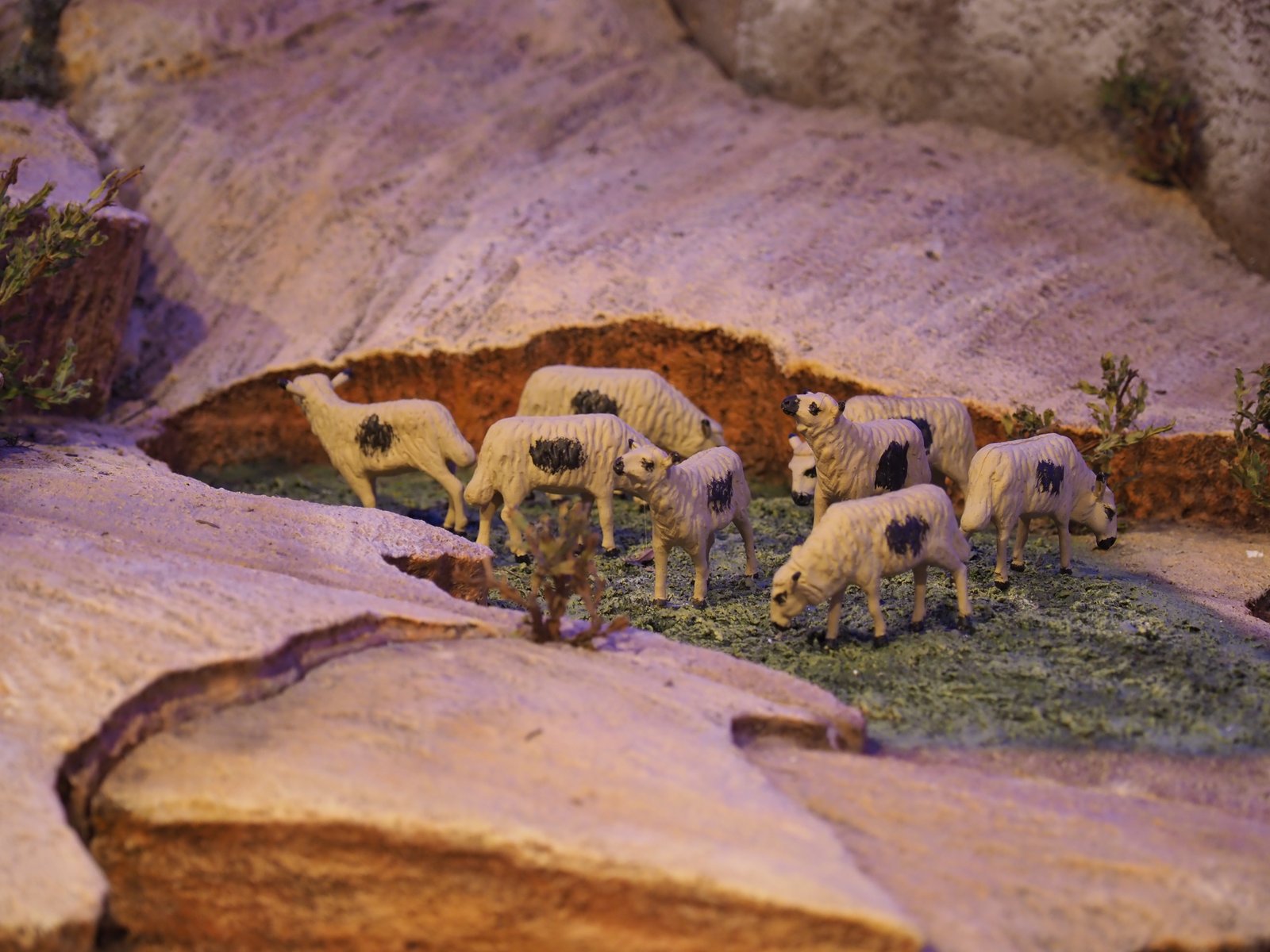 Ciudad de Nazaret - Imagen 13