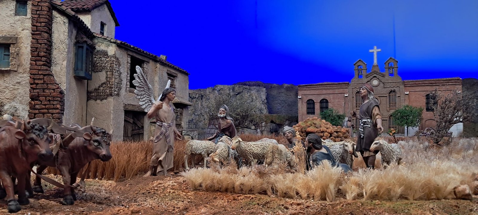 Ribera del Duero - Imagen 3