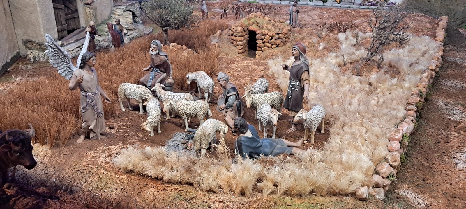 Ribera del Duero - Imagen 8